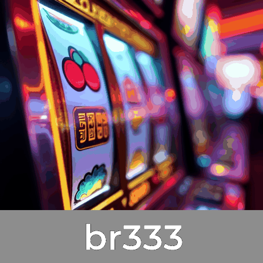 Experiência Profissional e Segura com br333